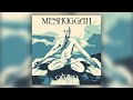 Meshuggah - This Spiteful Snake | Haekki ReMaster