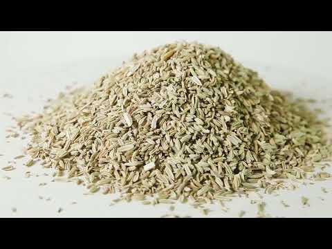 Фенхель