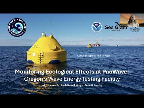 Monitoring Ecological Effects at PacWave – Sarah Henkel