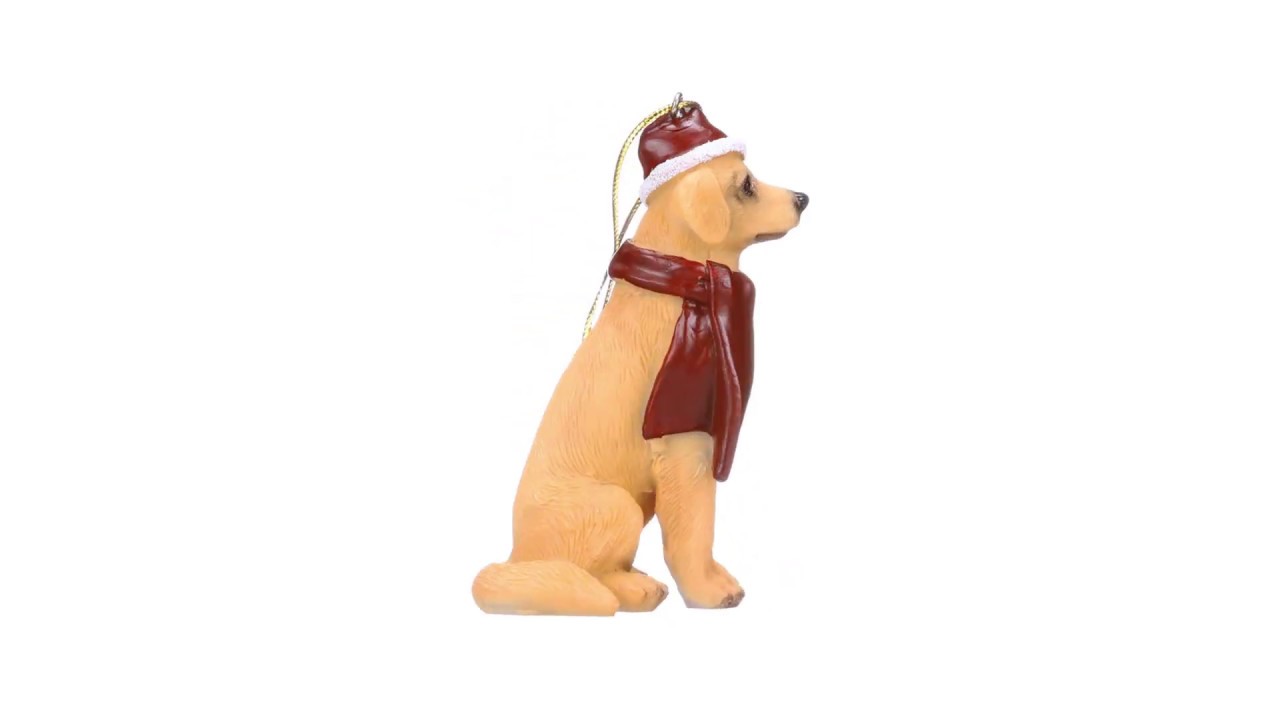 Golden Retriever Holiday Dog Ornament Pet Decoration Video