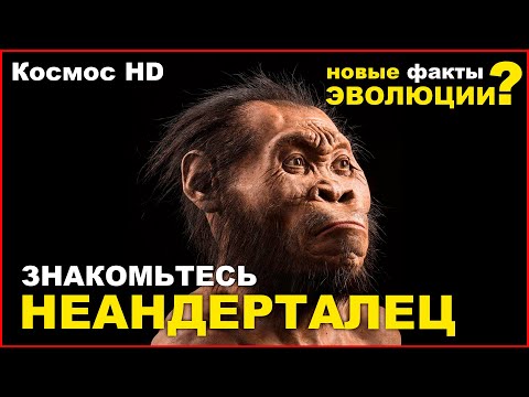 Знакомьтесь: Неандерталец | Космос HD