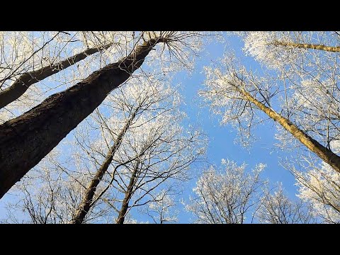 OPOWIEŚCI Z NARNII po wiejsku...