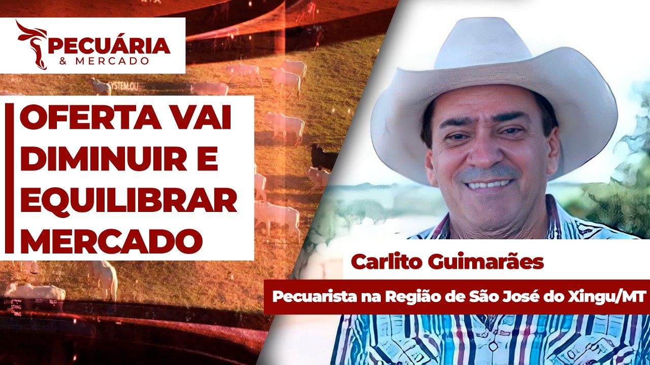 Pecuarista tradicional acredita em redução de oferta de animais para ajustar mercado a partir de...