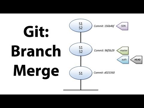 Branching and Merging