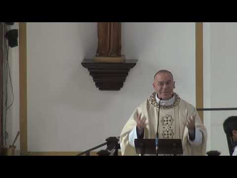 Homily for the Feast of the Baptism of the Lord 2026 Part 1 of 2