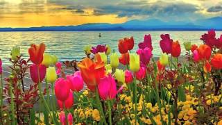 The Best is Yet to Come