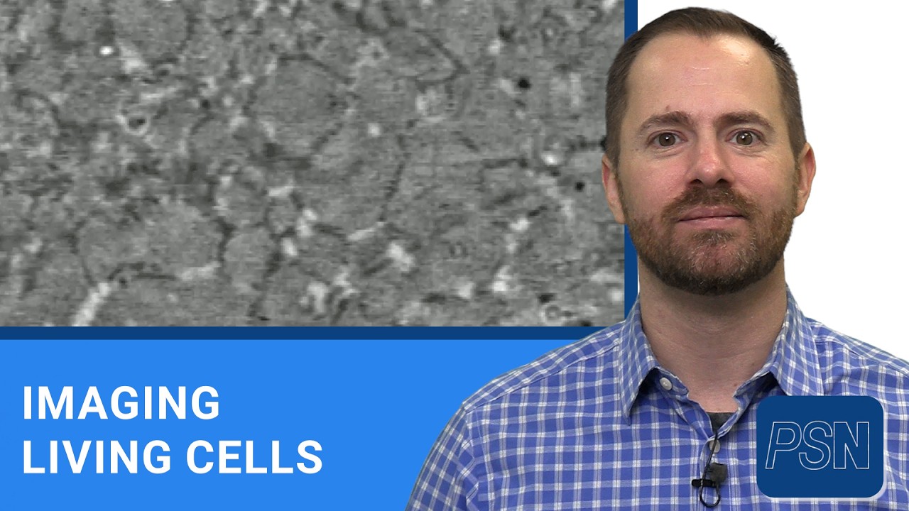 Stanford Microscope Could Change How We View Living Cells