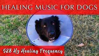 Healing Music for Dogs and Humans [528 Hz Frequency]