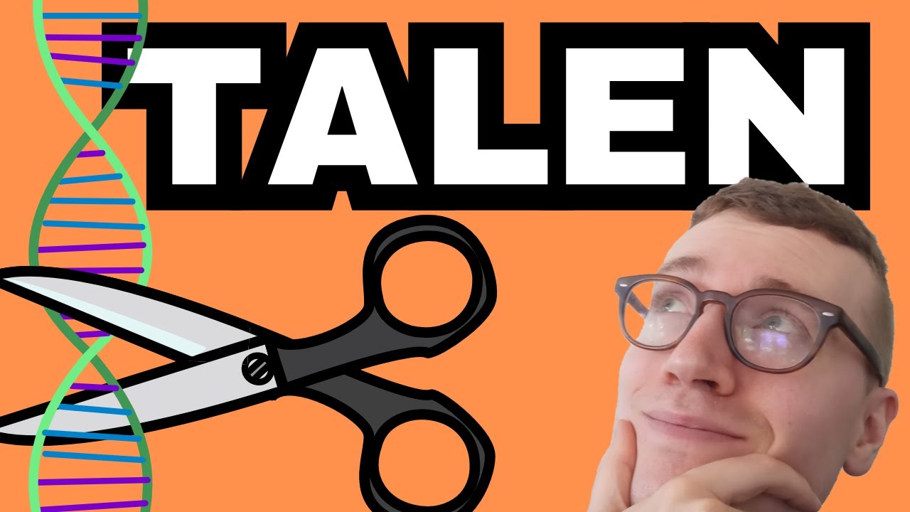 TALENs (Transcription Activator-Like Effector Nucleases) | Gene Editing Explained