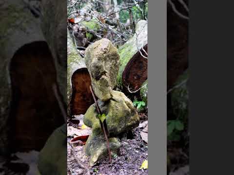 K'at energia del dia.