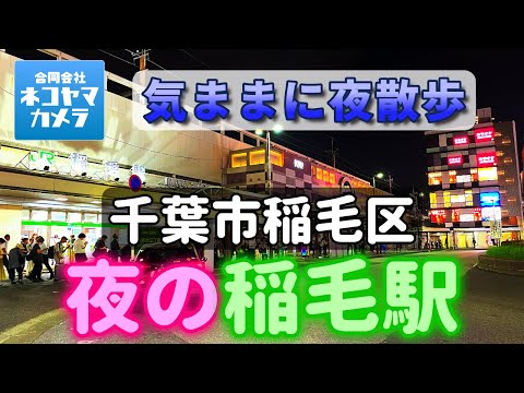 JR Inage Station Video