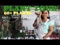 Plant Tour Santa Monica Collection Part 1 60 Plants April 2019 ILOVEJEWELYN