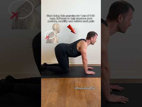 Cat Cow Pose: Enhance Your Spine Mobility and Posture