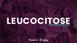 Leucocitose