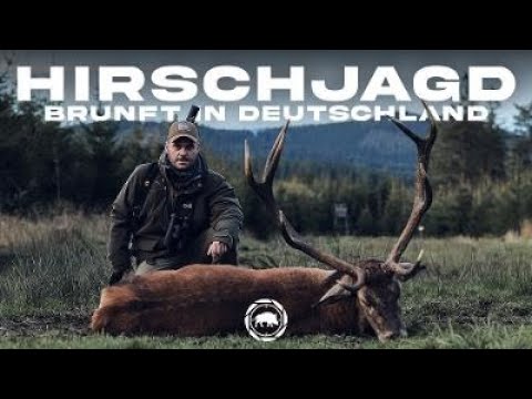 Deer hunting - rut in Germany