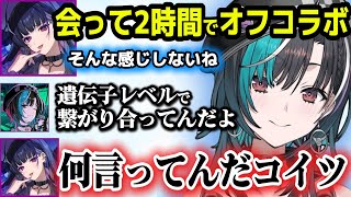 遺伝子レベルで繋がり合ってるメロちはオフコラボで暴走する千速【ホロライブ切り抜き/輪堂千速/狂蘭メロコ】