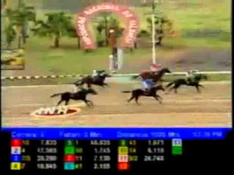 Resumen Viernes, 25 de Abril de 2014 - Valencia