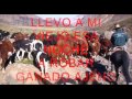 ARRIBA EN LA CORDILLERA   PATRICIO MANNS