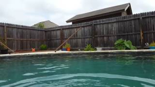 Flowers Grow Out Of My Grave