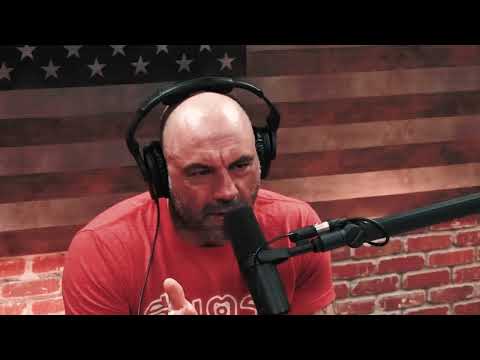 NARCOFORNIA WEB TRAILER