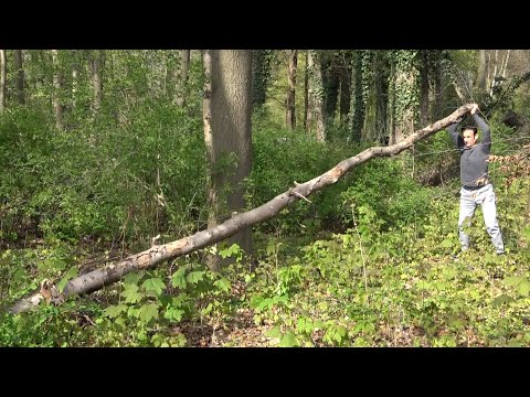 Ben's Sport Lockdown Part 2