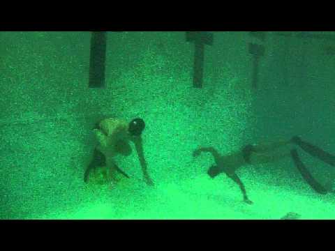 50 mt in Apnea con monopinna