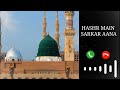 HASHR MAIN SARKAR AANA WHATSAPP STATUS