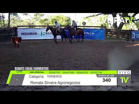 REMATE LOCAL CONVENTOS - 7 DE OCTUBRE DE 2025