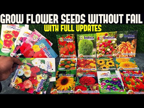 image-What is the best flower to plant in April?