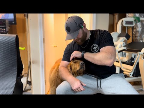 ‘25 Spring Cut: Day 36 (Tricep, Shoulders)