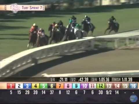 2012 Breeders' Cup Turf Sprint
