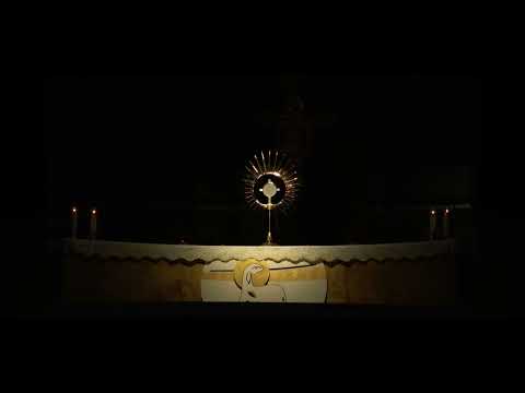 Daruj nam mir/ Dona la pace/ Give us your peace - Međugorje Adoration 24.06.2025