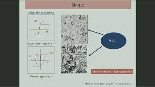 Magnetic Nanoreactors for Health, Environmental & Catalytic...