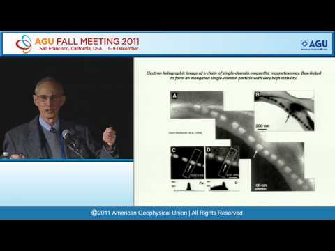 Fall Meeting 2011 Bullard Lecture: Rock Magnetism: Successes and Mysteries