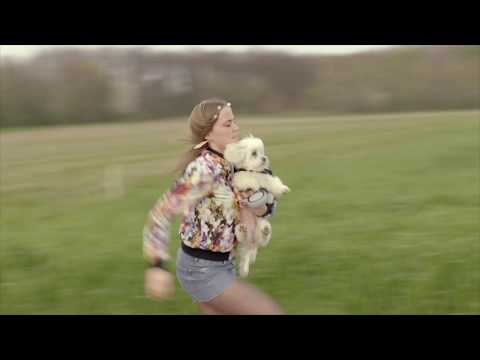 Teaser: Zurück zu Europa – der Kurzfilm zur Europawahl