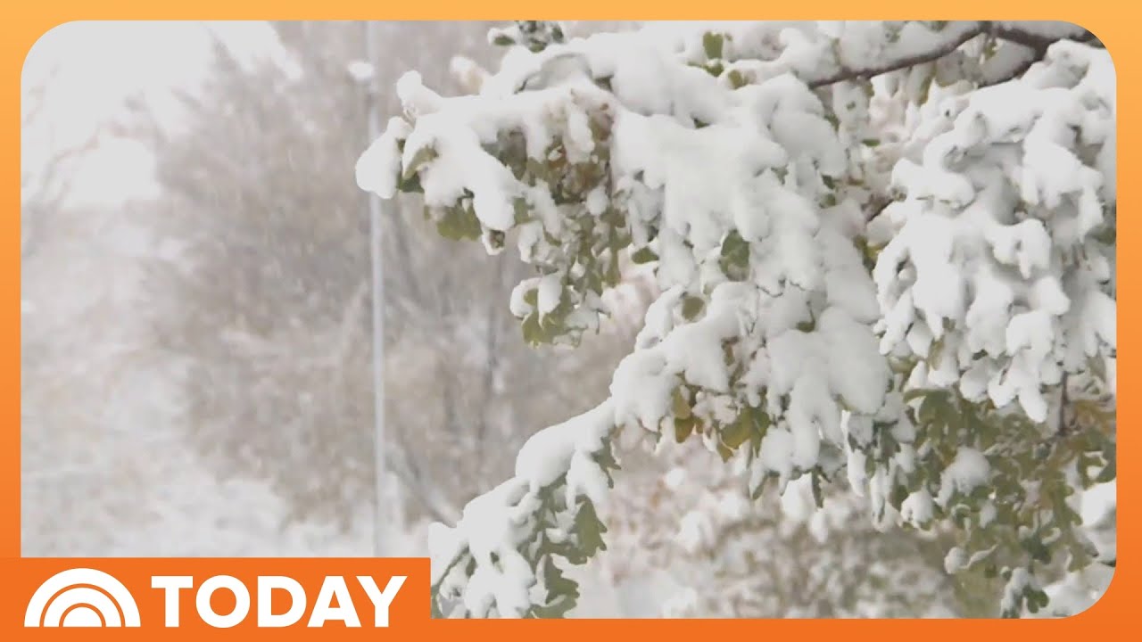 Brutal Cold Front Sweeps Across US With Early Winter Weather