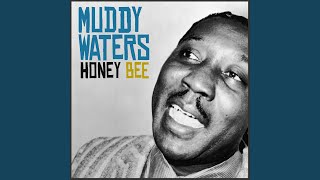 Honey Bee