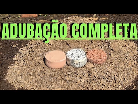 Adubação da horta: Veja a forma correta