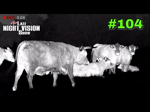 Ep. 104 | 10 Best Uses For Thermal Other Than Hunting!