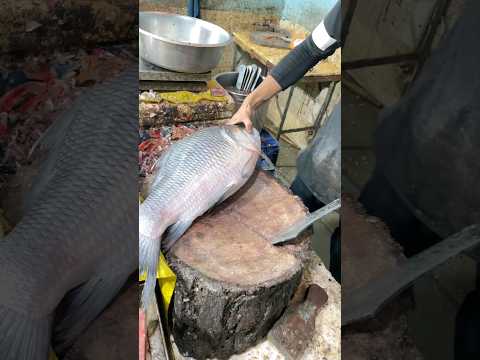 Huge Catla Fish Cutting #fish_cutting #fish_cutting_expert Please Subscribe To Our Channel ❤️❤️❤️