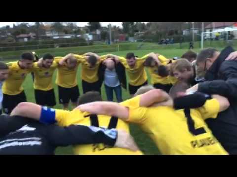 07.11.2015 | 1. FC Wacker Plauen - SpVgg Grünbach/Falkenstein
