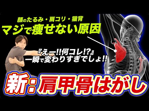 【新：肩甲骨はがし】一瞬でフェイスラインが引き上がってマ・ジ・で痩せ体質になるからやってみて