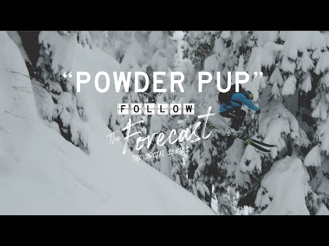 "Powder Pup" - Follow the Forecast - The Social Series