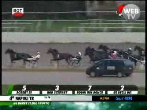 Derby Italiano del Trotto 2013 -Robert Bi