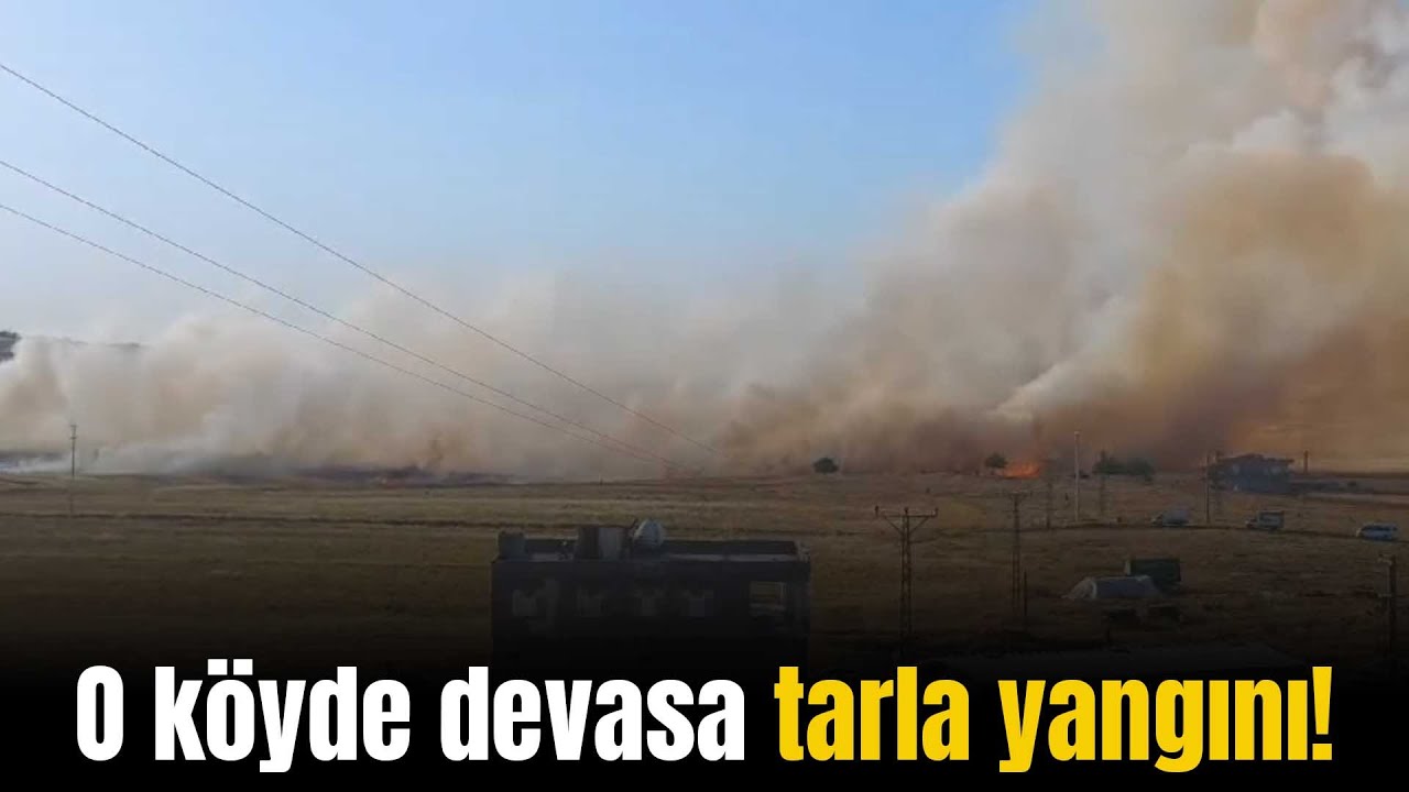 O köyde devasa yangın: 120 dönüm yanarak kül oldu - Bismil Haber