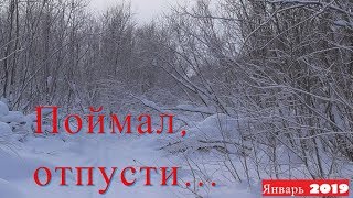 Рыбалка по принципу поймал отпустил