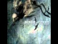 Birds Of Prey - Buttfucked with a Shotgun Barrel