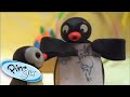 Pingu Gets Carried Away Pingu Official Channel Cartoons For Kids