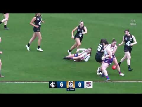 Lou-Lou Field Playlist