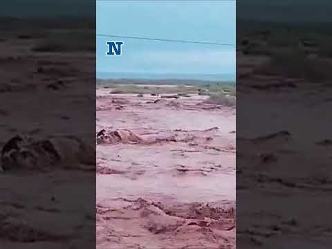 Neuquén bajo el agua: El temporal cortó la Ruta 40